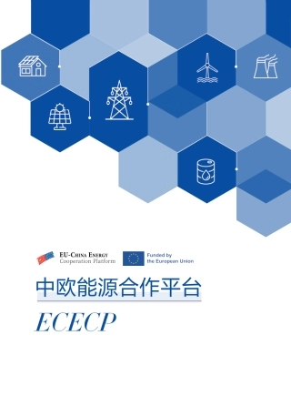中欧能源合作平台 – 項目成果