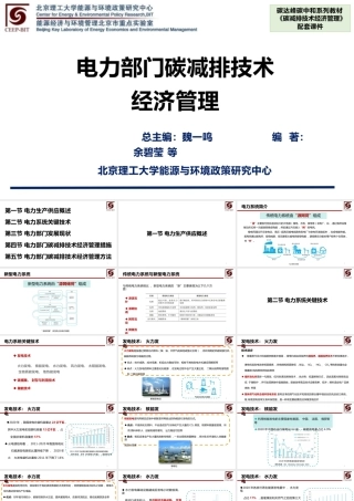 电力部门碳减排技术经济管理-92页