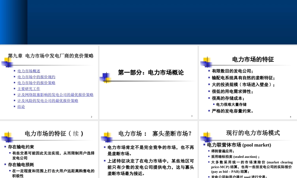 电力市场中发电厂商的竞价策略