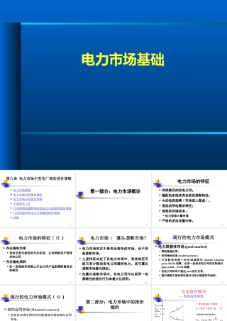 电力市场中发电厂商的竞价策略