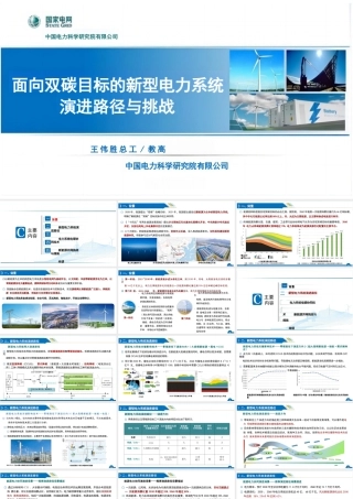 面向双碳目标的新型电力系统演进路径与挑战