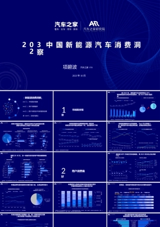 2023中国新能源汽车消费洞察
