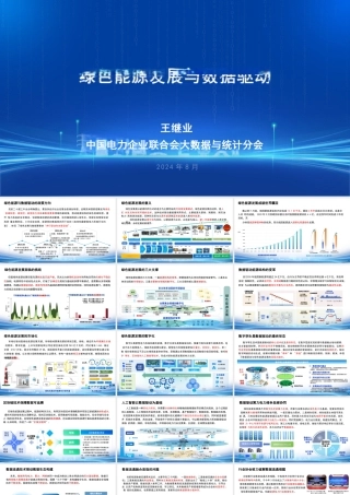 绿色能源发展与数据驱动——中国电力企业联合会 王继业