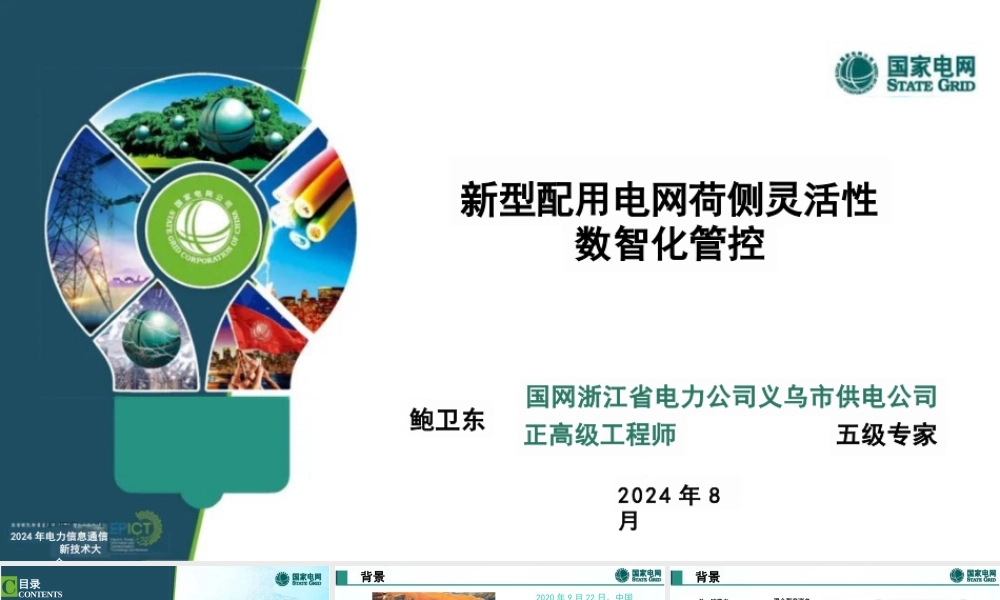 新型配用电网荷侧灵活性数智化管控——国网浙江 鲍卫东