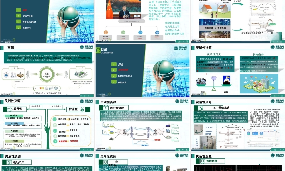 新型配用电网荷侧灵活性数智化管控——国网浙江 鲍卫东