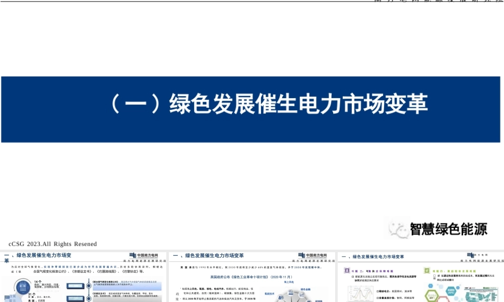 面向绿色发展的新型电力市场体系关键机制设计——南方电网 陈政