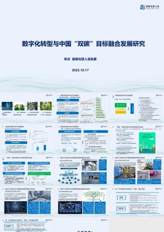 数字化转型与中国“双碳”目标融合发展研究——朱炎