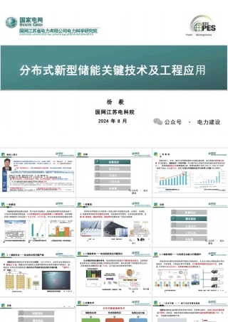 分布式新型储能关键技术及工程应用