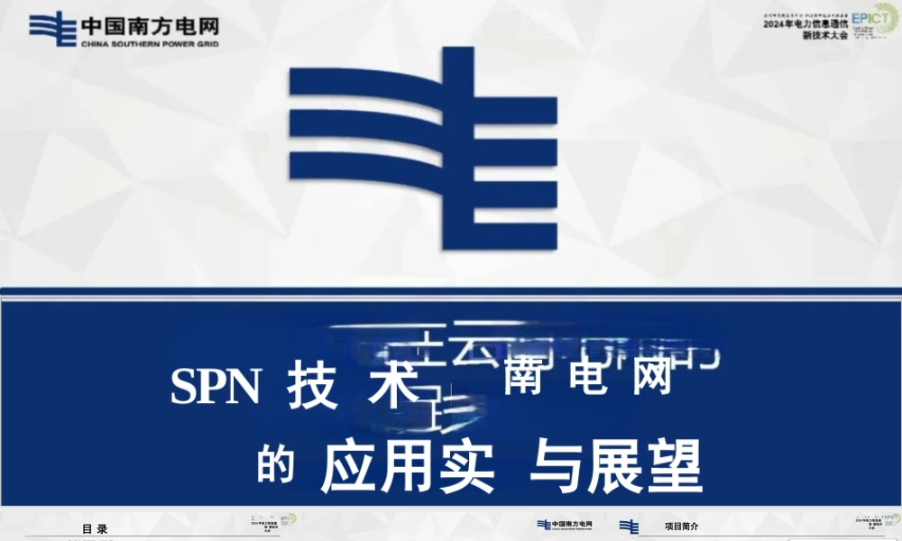 SPN技术在云南电网的应用实践与展望——罗海林