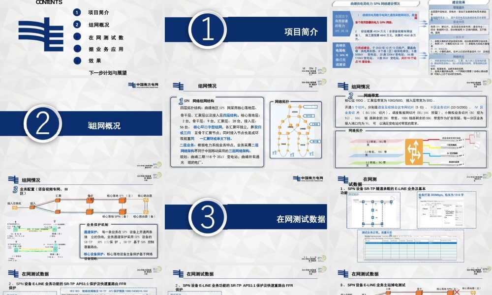 SPN技术在云南电网的应用实践与展望——罗海林