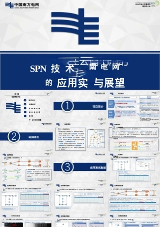 SPN技术在云南电网的应用实践与展望——罗海林