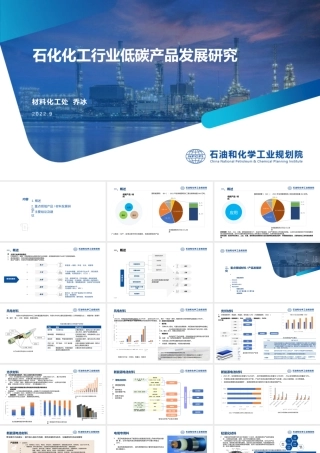 石化化工行业低碳产品发展研究——乔冰