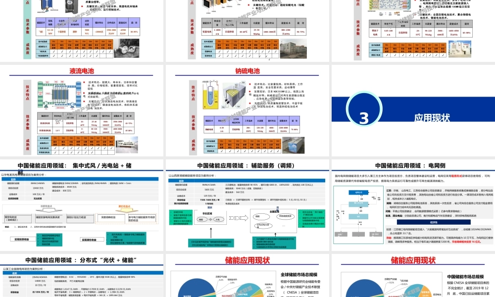 储能技术与应用进展——陈海生