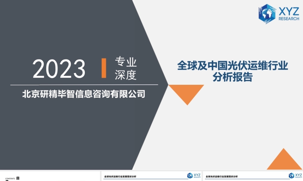 全球及中国光伏运维行业分析报告——北京研精毕智信息咨询有限公司