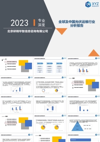 全球及中国光伏运维行业分析报告——北京研精毕智信息咨询有限公司