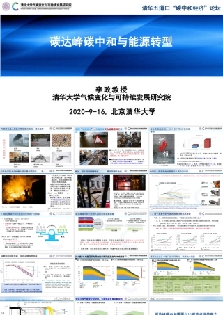 李   政：碳达峰碳中和与能源转型