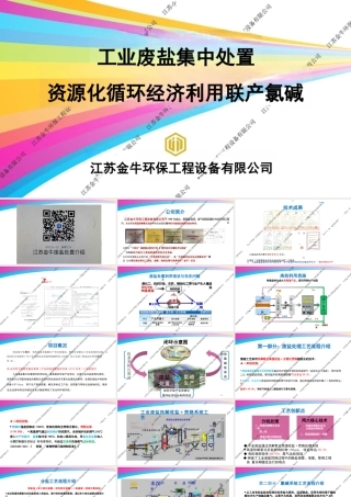 【专家PPT】工业废盐集中处置资源化循环经济利用联产氯碱_江苏金牛