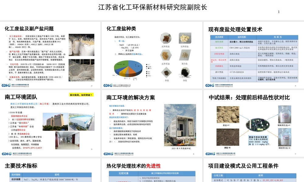 【专家PPT】化工废盐无害化与资源化利用技术介绍