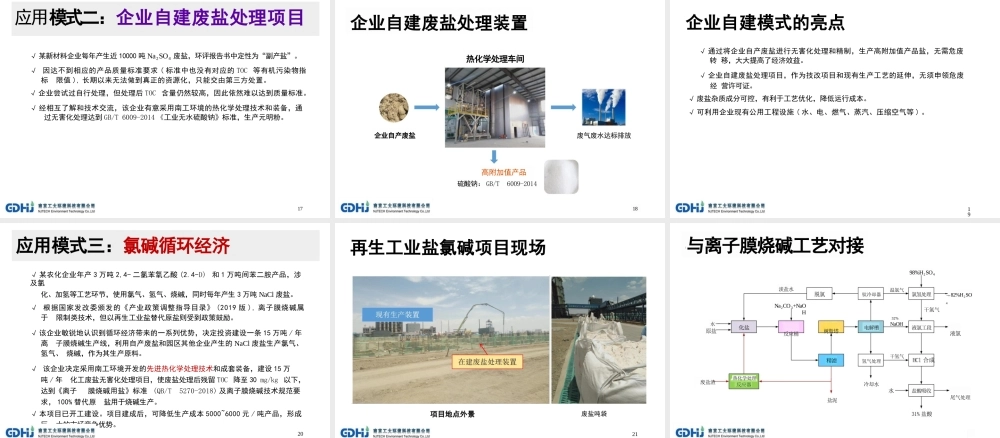 【专家PPT】化工废盐无害化与资源化利用技术介绍