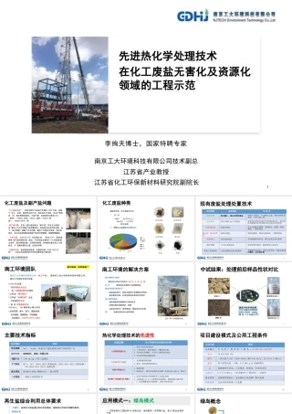 【专家PPT】化工废盐无害化与资源化利用技术介绍