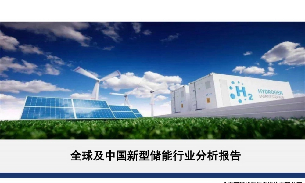 全球及中国新型储能行业分析报告2023