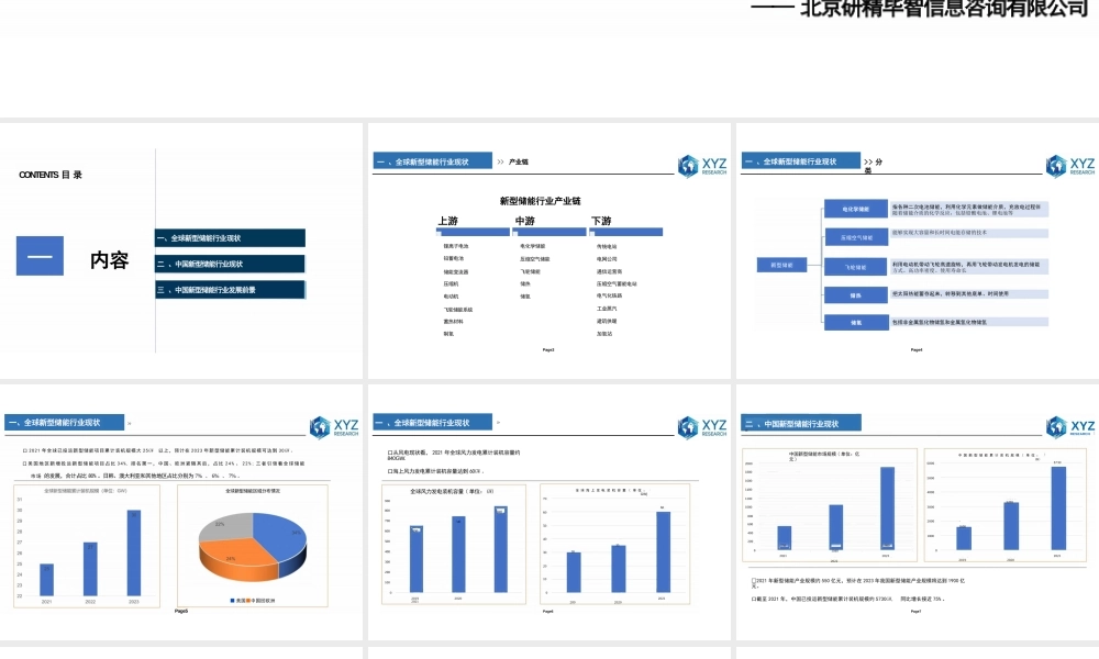 全球及中国新型储能行业分析报告2023