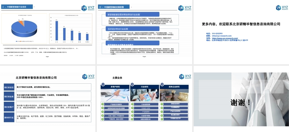 全球及中国新型储能行业分析报告2023