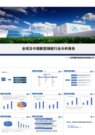 全球及中国新型储能行业分析报告2023