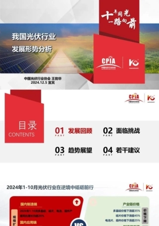 我国光伏行业发展形势分析——王勃华