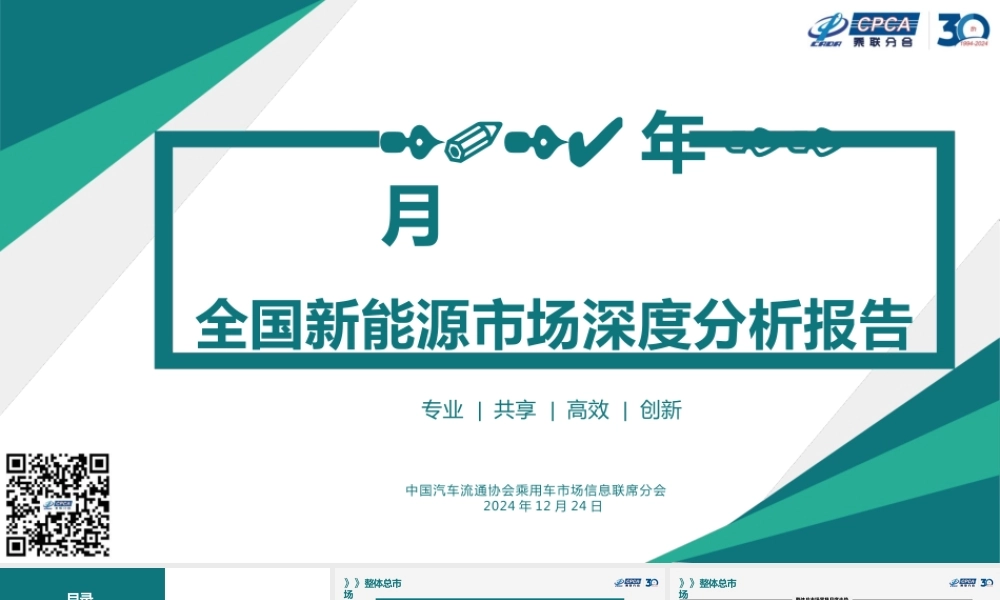2024年11月全国新能源市场深度分析报告
