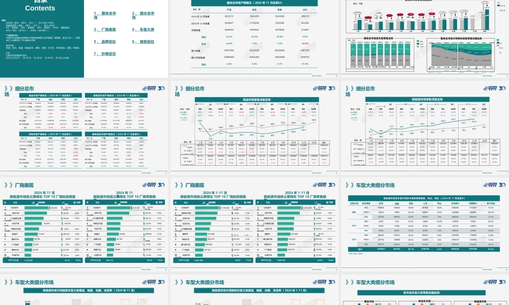 2024年11月全国新能源市场深度分析报告