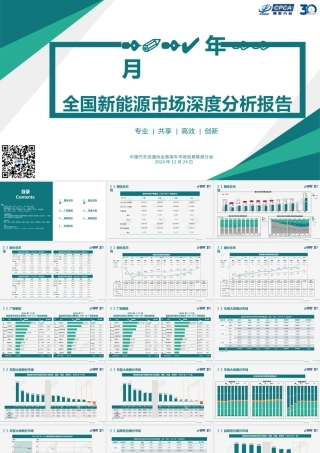2024年11月全国新能源市场深度分析报告