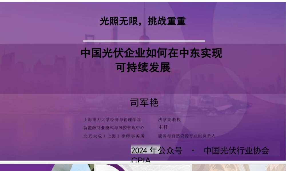 中国企业如何在中东实现可持续发展——司军艳