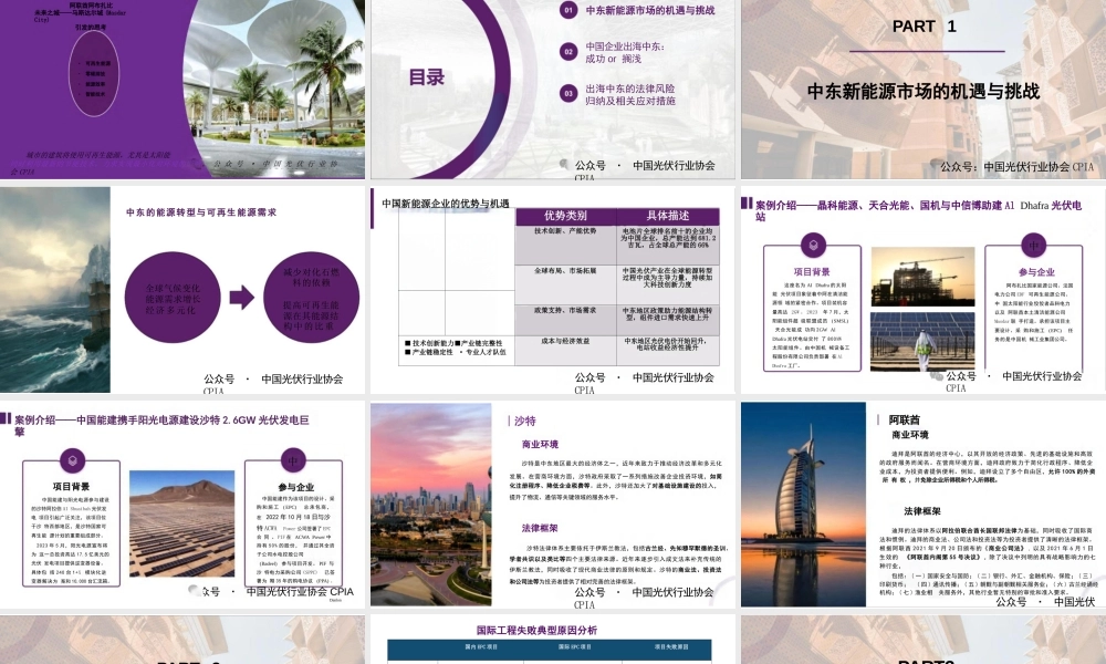 中国企业如何在中东实现可持续发展——司军艳