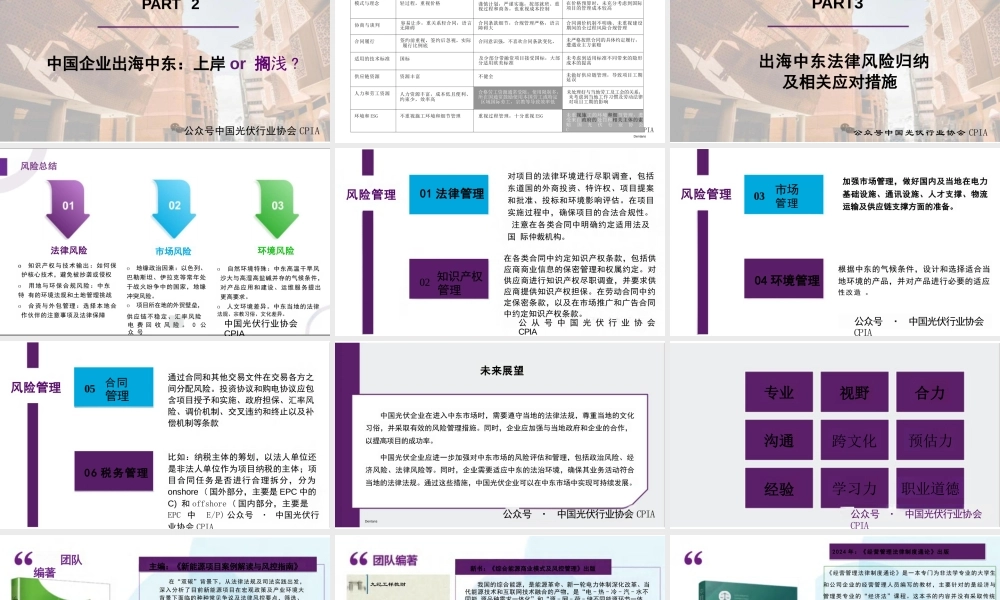 中国企业如何在中东实现可持续发展——司军艳