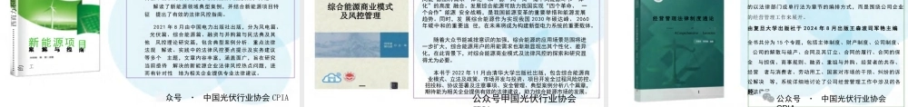 中国企业如何在中东实现可持续发展——司军艳