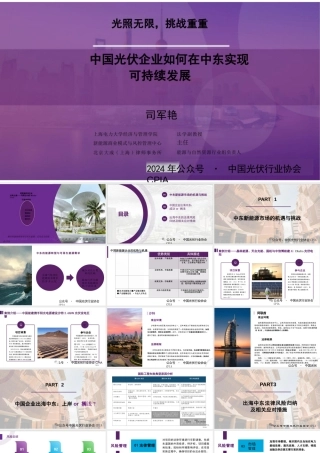 中国企业如何在中东实现可持续发展——司军艳