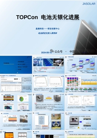 TOPCon 电池无银化进展——蒋秀林