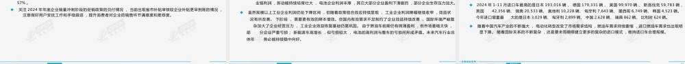 2024年12月份全国乘用车市场分析