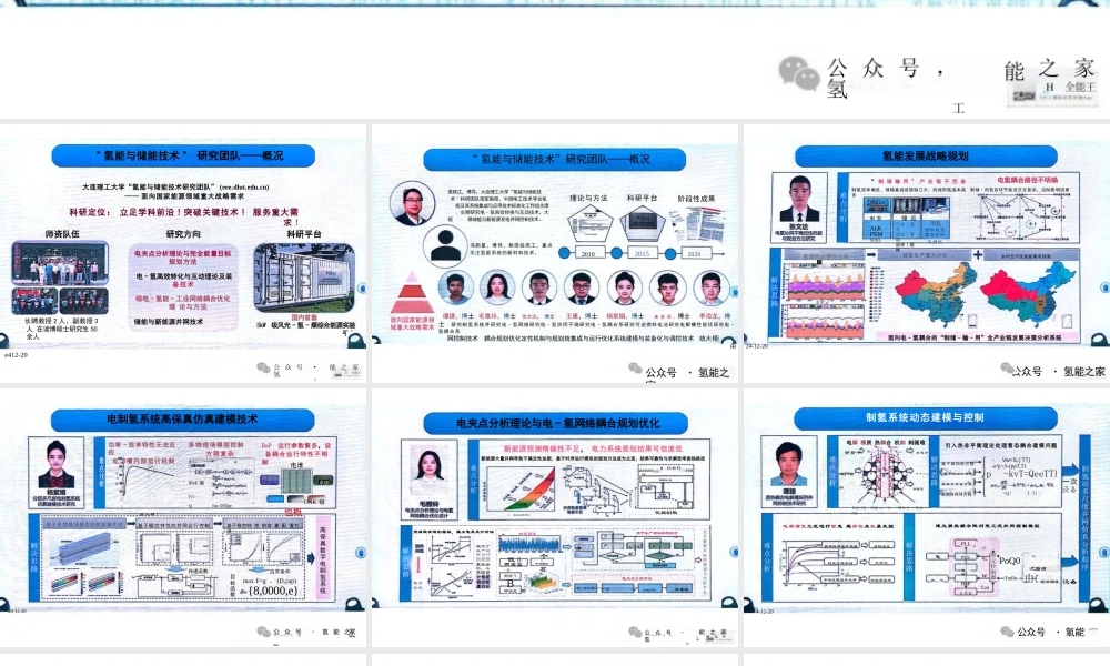 电-氢互动的电制氢系统建模技术——袁铁江