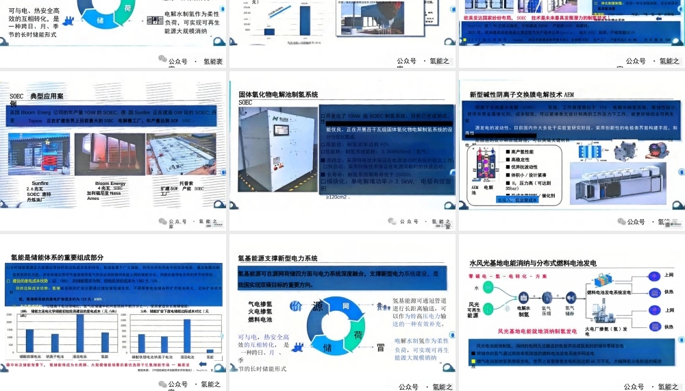 电氢协同、破解电网全额消纳风光电力的困局——雷宪章