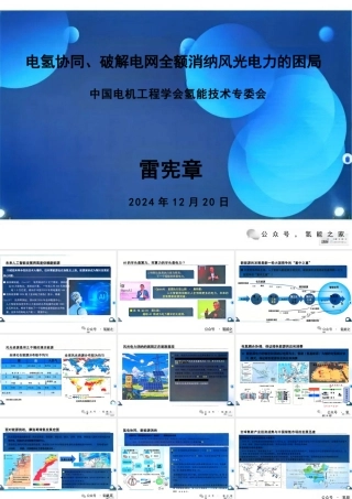 电氢协同、破解电网全额消纳风光电力的困局——雷宪章