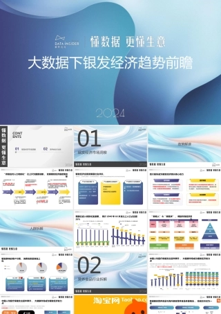 2024大数据下银发经济趋势前瞻