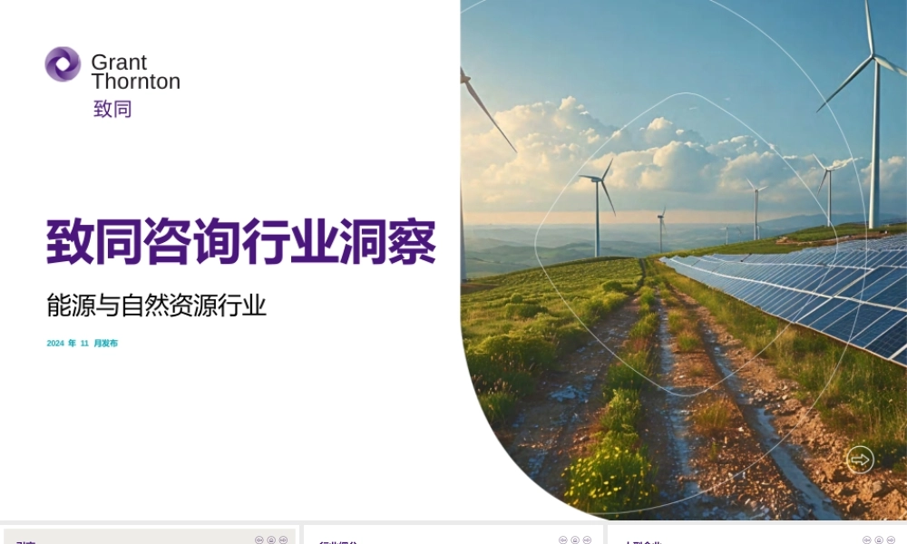 致同咨询行业洞察：能源与自然资源行业