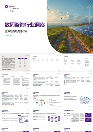 致同咨询行业洞察：能源与自然资源行业