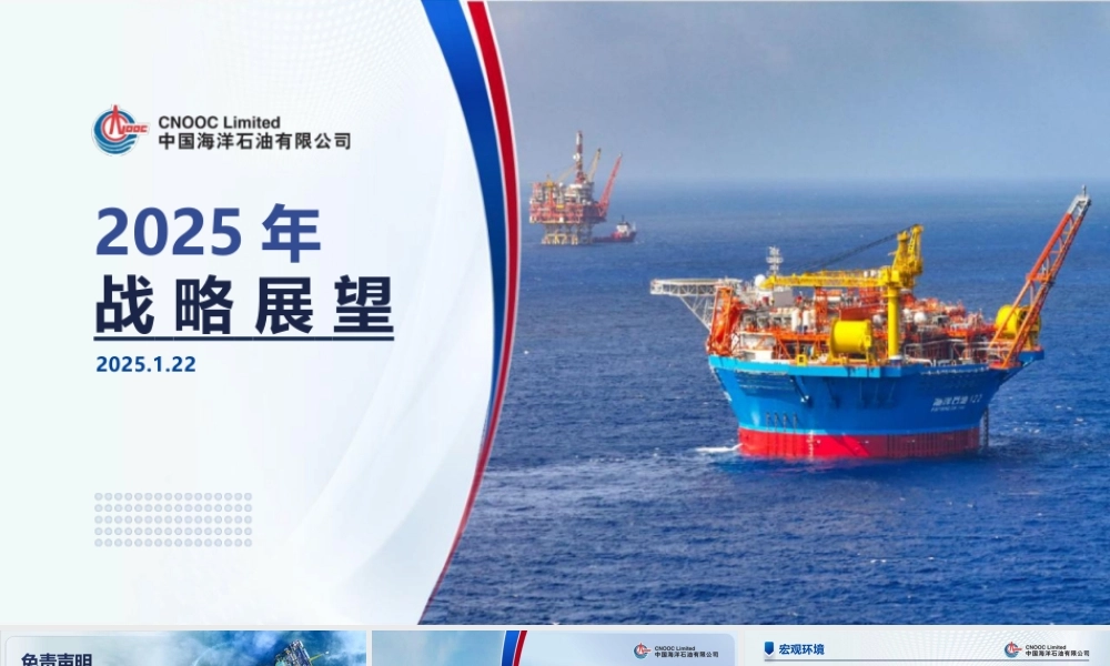 中国海洋石油有限公司2025年战略展望
