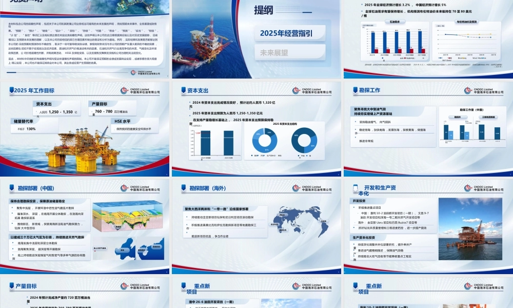 中国海洋石油有限公司2025年战略展望
