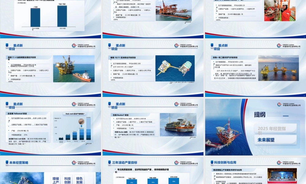 中国海洋石油有限公司2025年战略展望