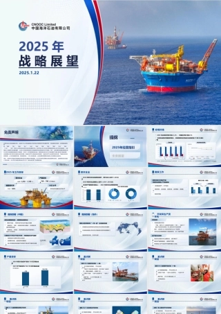 中国海洋石油有限公司2025年战略展望