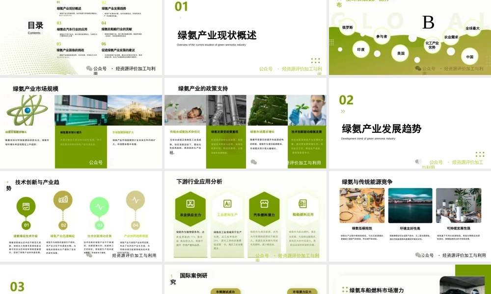 绿氨产业的未来与发展